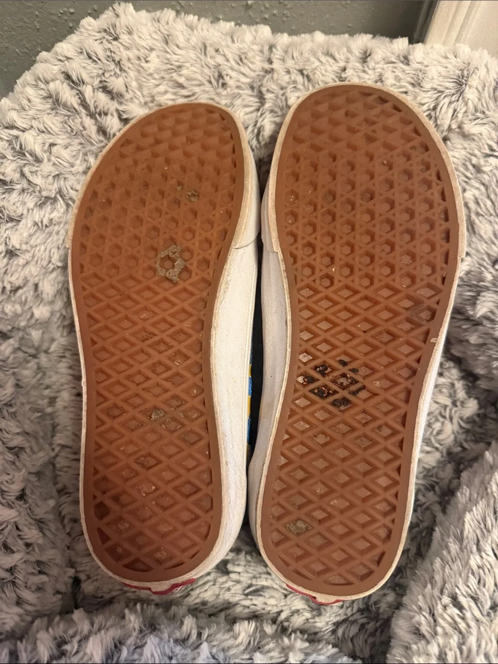 ROYGBIV Vans